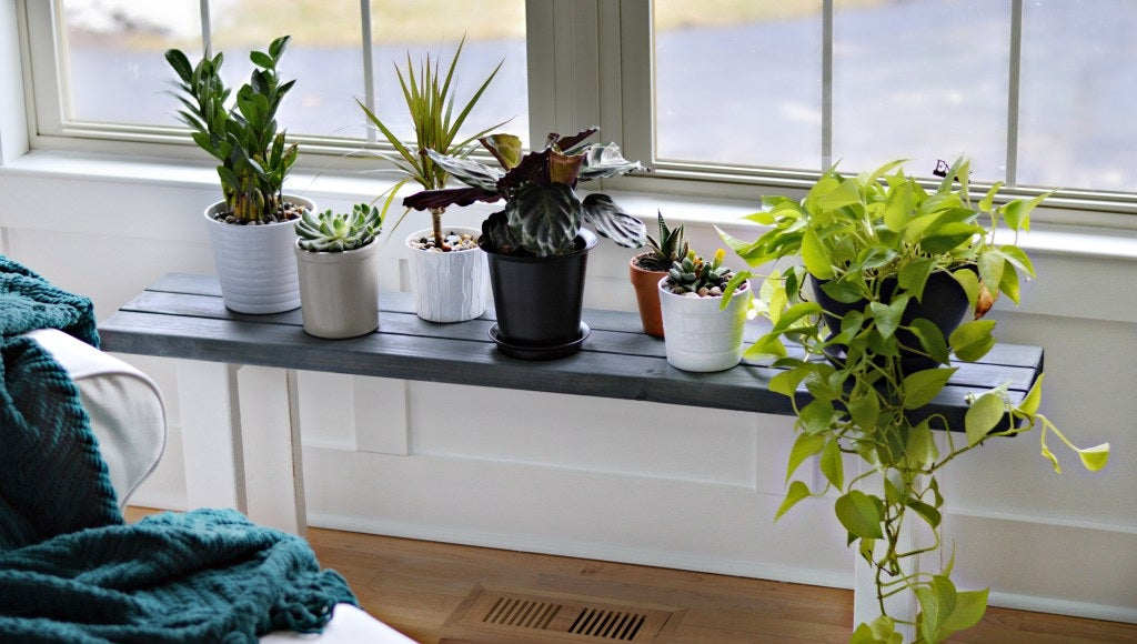 5 Innovative Ways to Stop Sun Reflection Killing Plants Turf Guard Window  Film