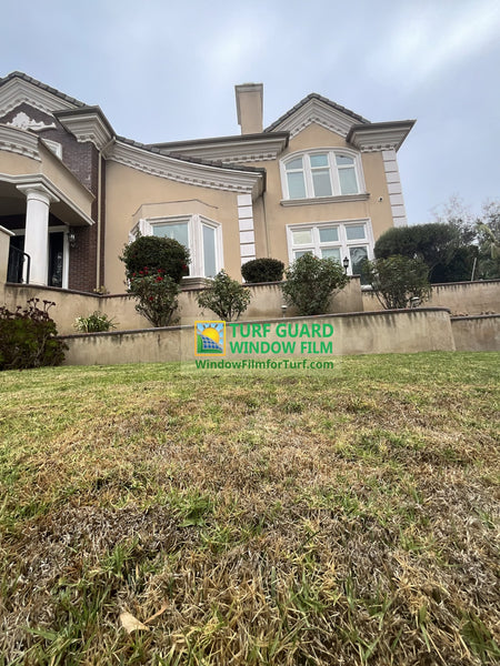 Glare From Windows Burning Grass — Is There a Film That Can Stop It?