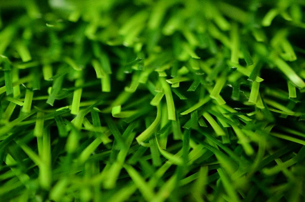 What Causes Artificial Turf Melting and How to Stop Them Turf Guard Window Film