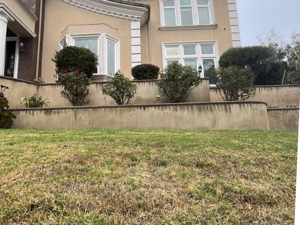 Glare From Windows Burning Grass â Is There a Film That Can Stop It?