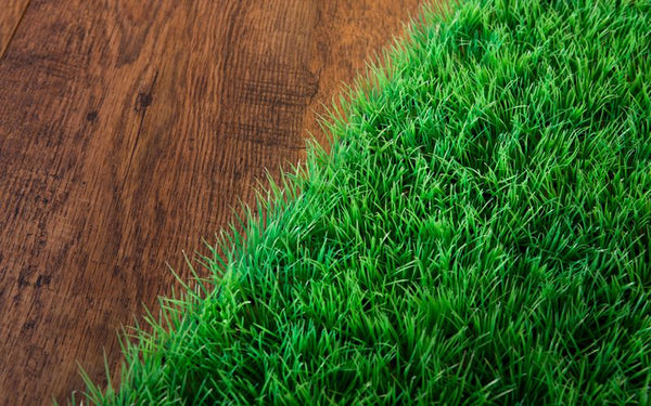 The Reasons Why Your Artificial Turf is Melting