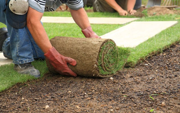 How to Fix Melted Fake Grass The Easy Way