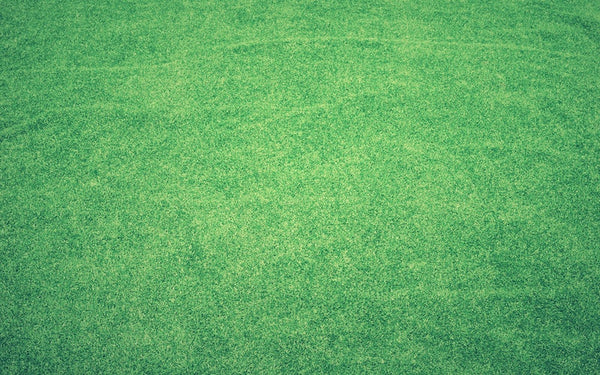 Best Way To Avoid Artificial Turf From Melting
