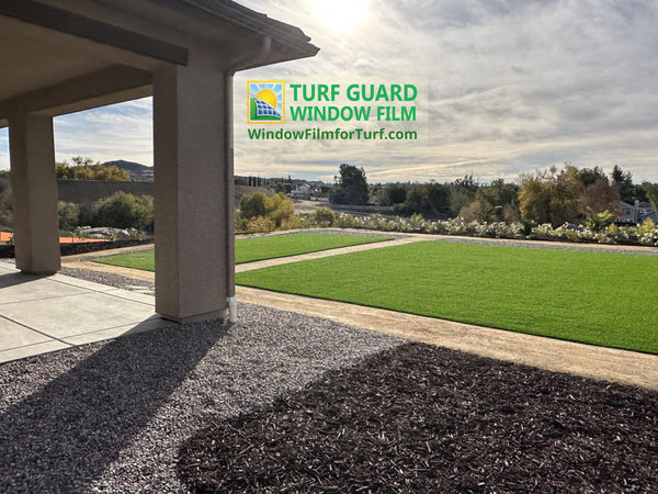 The Pros and Cons of Artificial Grass in Scottsdale’s Desert Climate