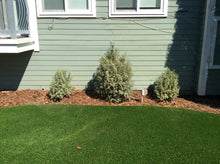Non Reflective Window Film for Birds - Turf Guard Window Film