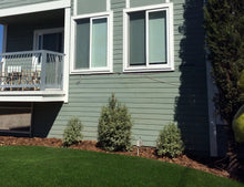 Non Reflective Window Film for Birds - Turf Guard Window Film