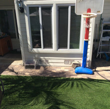 Non Reflective Window Film for Birds - Turf Guard Window Film