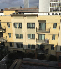 Non Reflective Window Film for Birds - Turf Guard Window Film