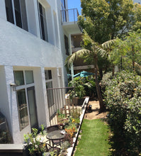 Non Reflective Window Film for Birds - Turf Guard Window Film