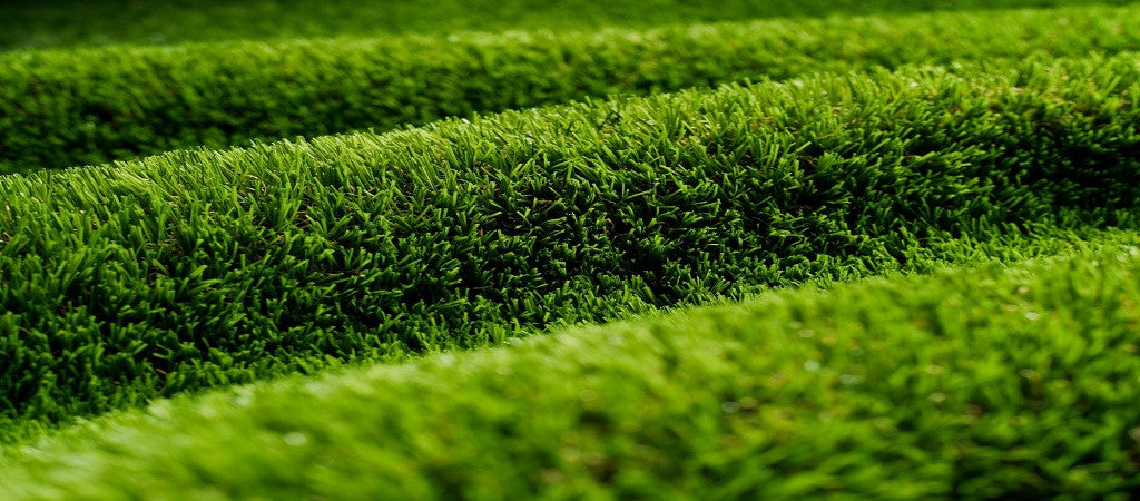 3 Proven Tactics to Stop the Sun Reflection From Burning the Grass ...