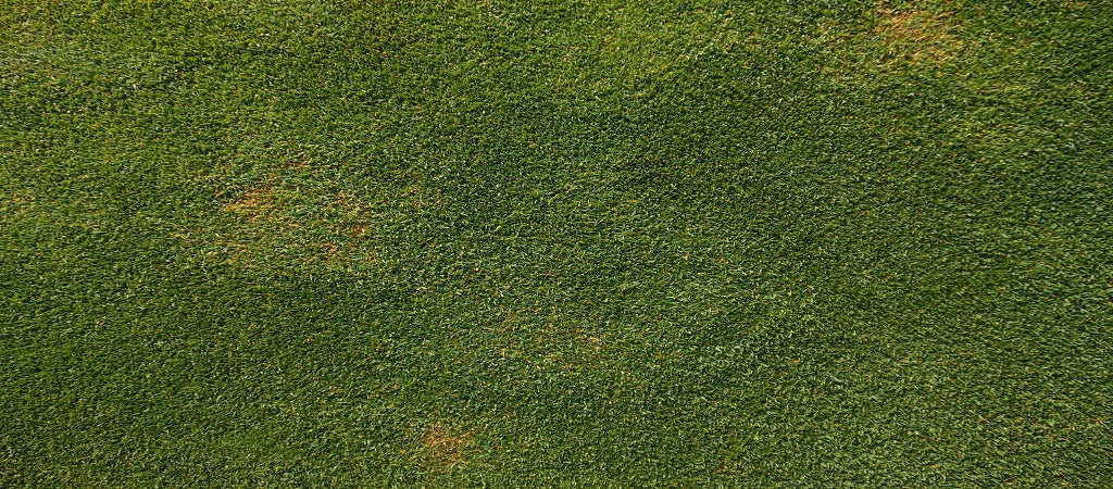 4 Facts You Probably Don’t Know About Reflected Sunlight Damage– Turf ...