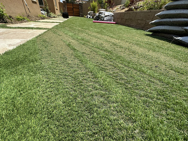 Why your turf only melts at 2 pm: angles, seasons, and the concave glass “lens” effect