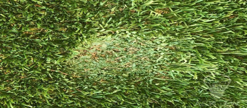 Caring for Sunburned Artificial Grass: How to Fix the Damage– Turf ...
