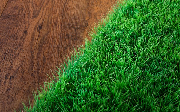 The Reasons Why Your Artificial Turf is Melting