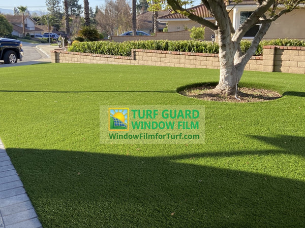 Does turf type matter? Nylon vs polyethylene and why hot spots still win