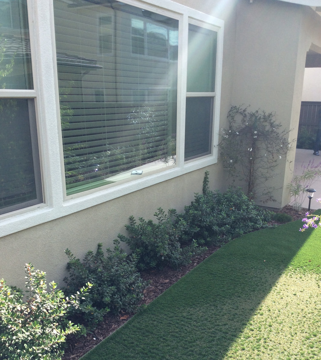 Window Film for Artificial Grass to Stop Artificial Grass from Melting ...